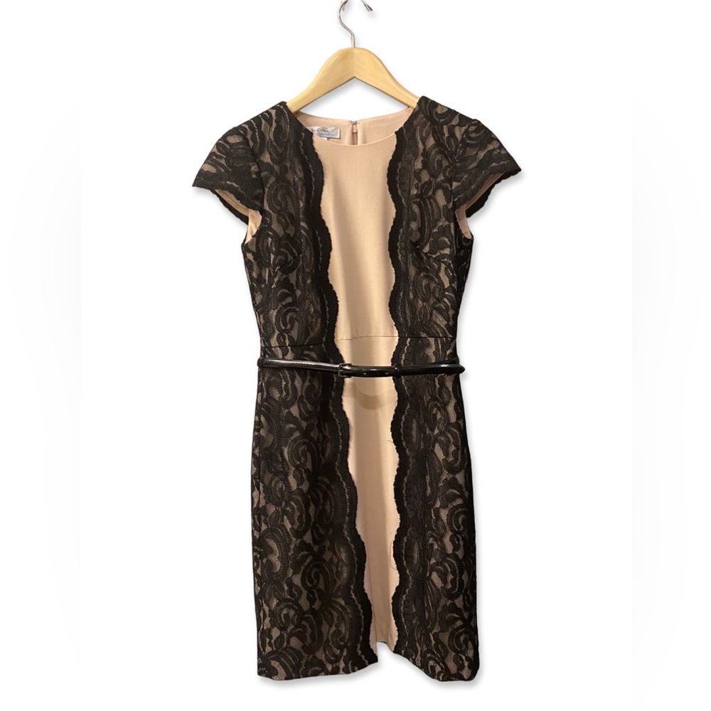 Ivy & Blue Office Dress - Size 4P